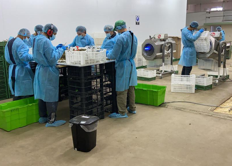 Image hover effect image